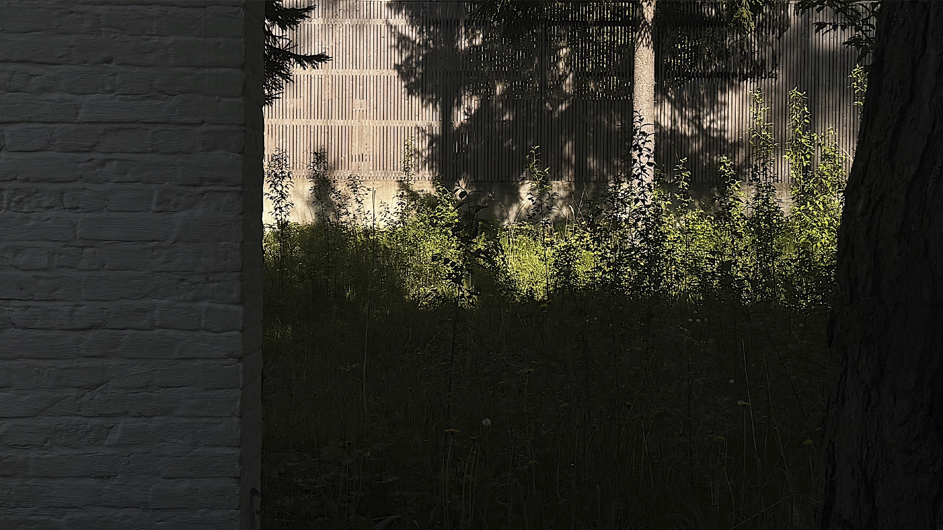 проект дома в подмосковье